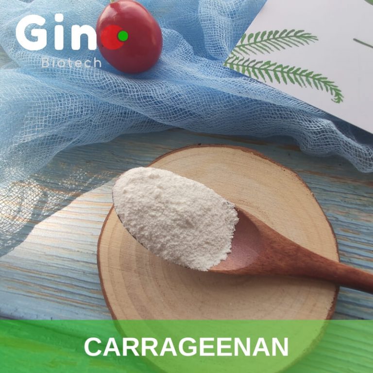 Carrageenan The No. 1 Perfect Gelatin Replacer in Vegan Gummy Candy