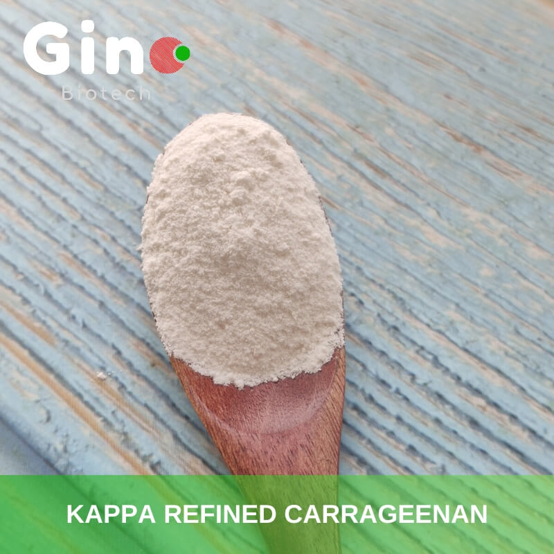 Kappa Refined Carrageenan Powder Manufacturer_Gino Biotech_Hydrocolloid Carrageenan Suppliers 4