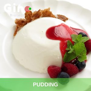 Pudding_Gino Biotech_Hydrocolloid Suppliers