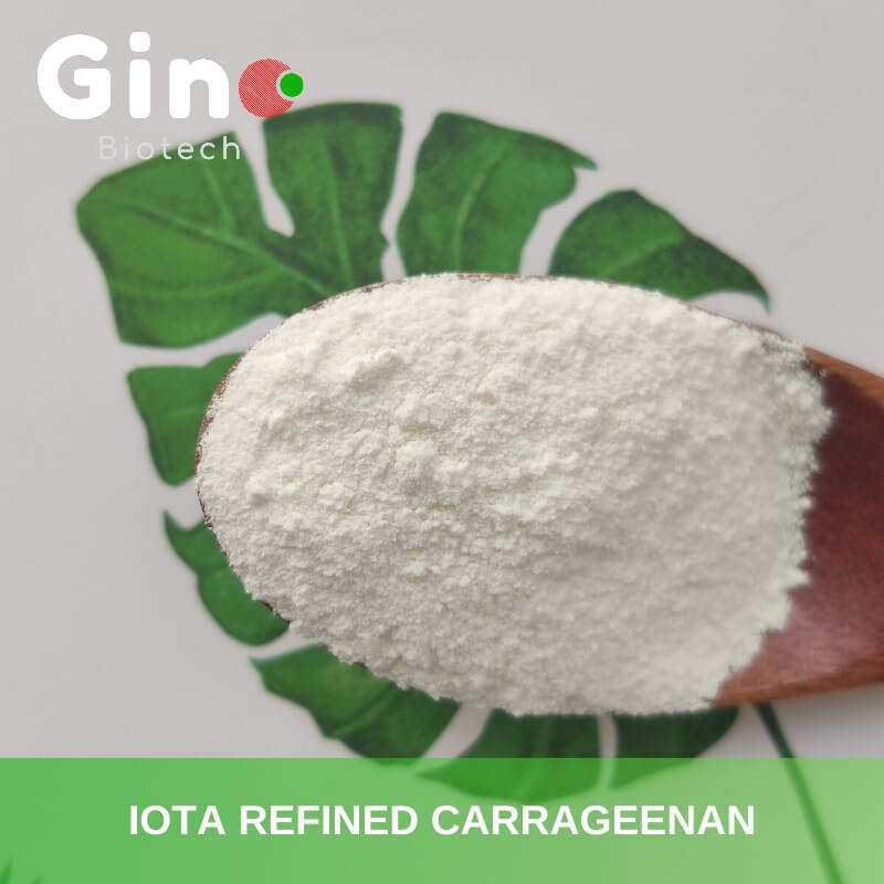 Iota Refined Carrageenan_Gino Biotech_Hydrocolloid Carrageenan Suppliers 2