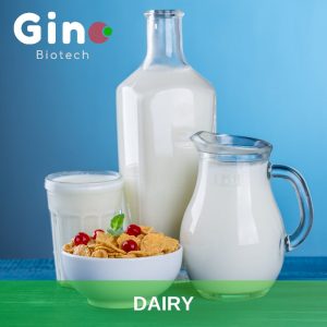 Dairy_Gino Biotech_Hydrocolloid Suppliers