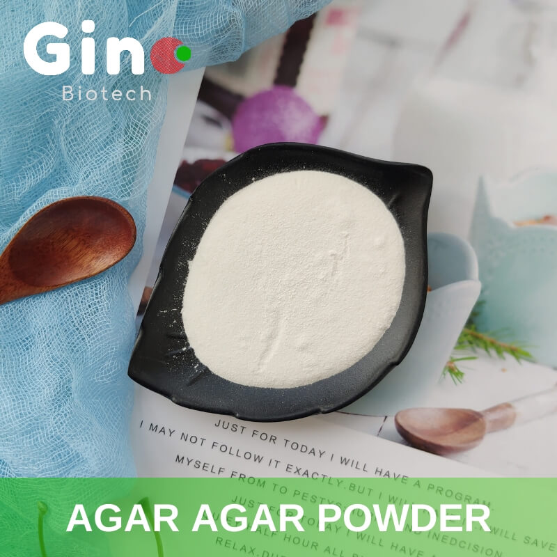 Agar Agar Powder_Gino Biotech_Hydrocolloid Agar Agar Suppliers 8