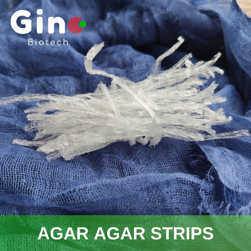 Agar Agar Strips_Gino Biotech_Hydrocolloid Agar Agar Suppliers 1