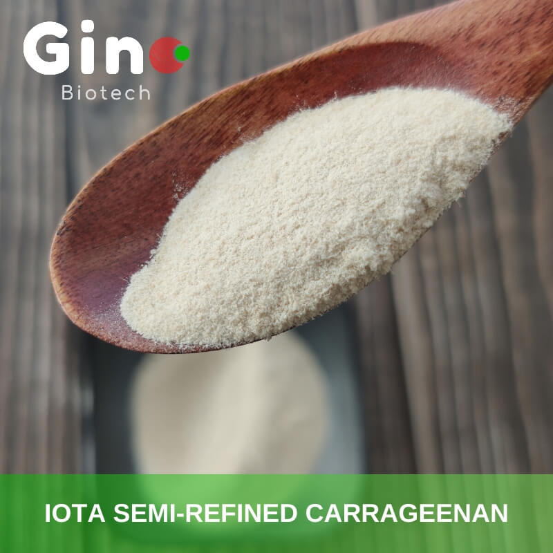 Semi-Refined Iota Carrageenan Manufacturer_Gino Biotech_Hydrocolloid Carrageenan Suppliers 3