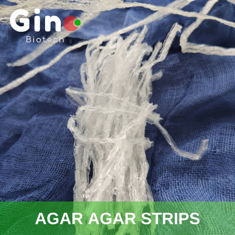 Agar Agar Strips_Gino Biotech_Hydrocolloid Agar Agar Suppliers 5