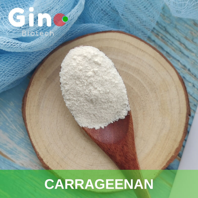 Carrageenan Suppliers_Gino Biotech_Hydrocolloid Carrageenan Suppliers 3
