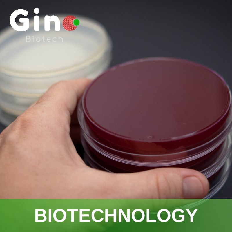 Biotechnology Industry_Gino Biotech_Hydrocolloid Suppliers
