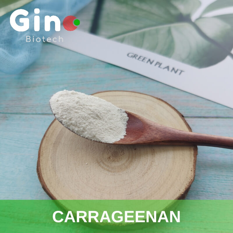 Carrageenan producer_Gino Biotech_Hydrocolloid Carrageenan Suppliers 6