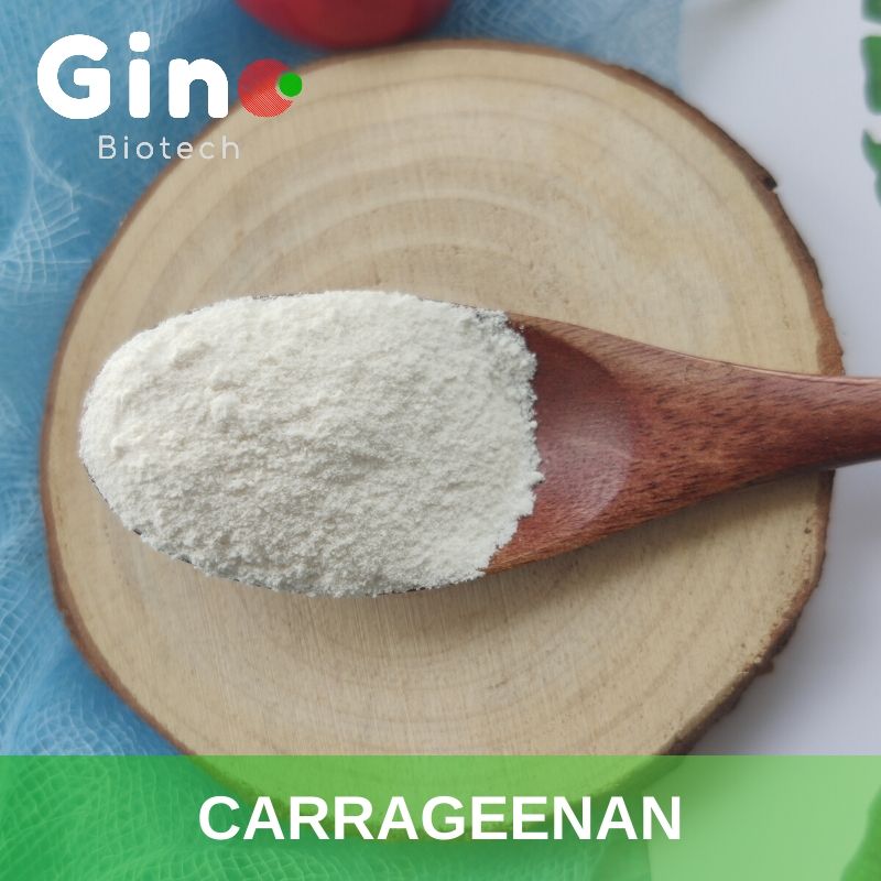 Carrageenan Company_Your Premium Hydrocolloid Agar Agar & Carrageenan Supplier_Gino Biotech