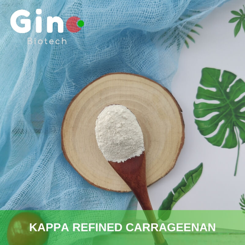 Kappa Carrageenan Powder- Refined Kappa Carrageenan Powder