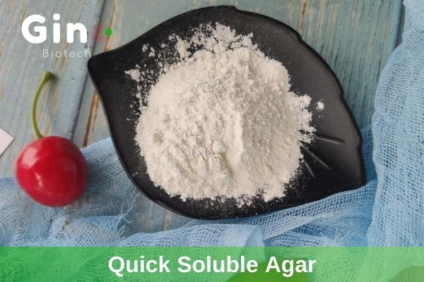 instant agar, quick soluble agar supplier