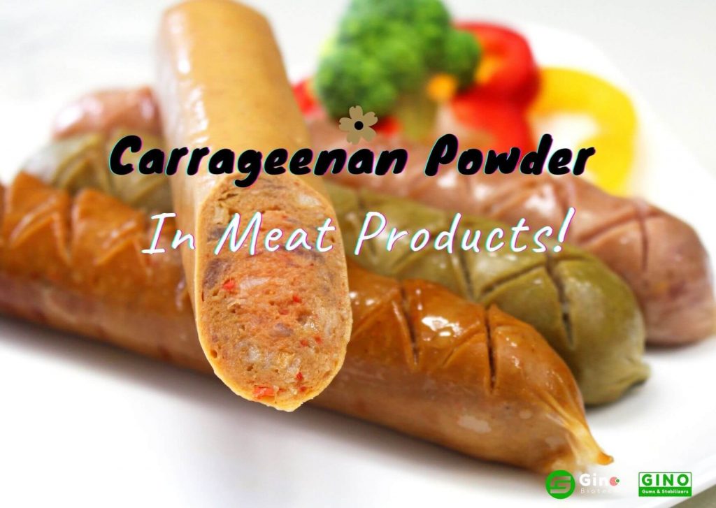 carrageenan powder in meat products_Gino Biotech_Carrageenan Supplier