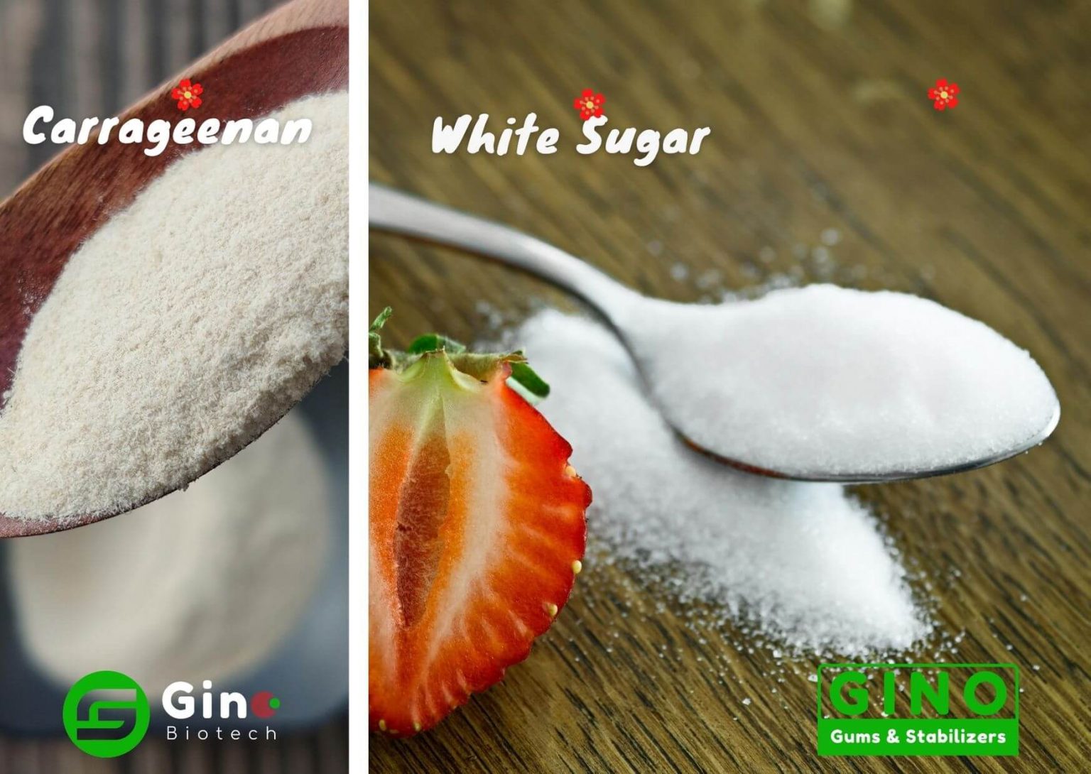 Carrageenan The No. 1 Perfect Gelatin Replacer in Vegan Gummy Candy