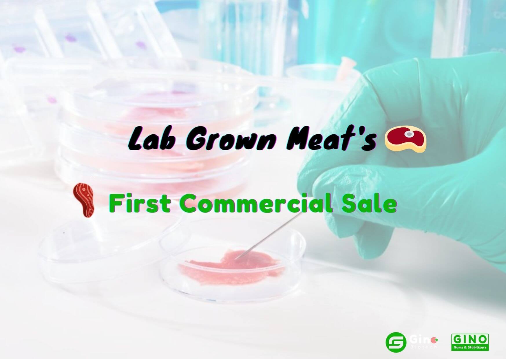 Breaking News Lab Grown Meat’s First Commercial Sale in 2020