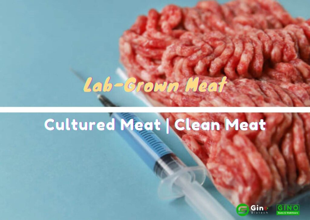 lab grown meat (4)