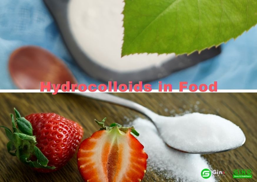 What is the Role of Hydrocolloids in Food?