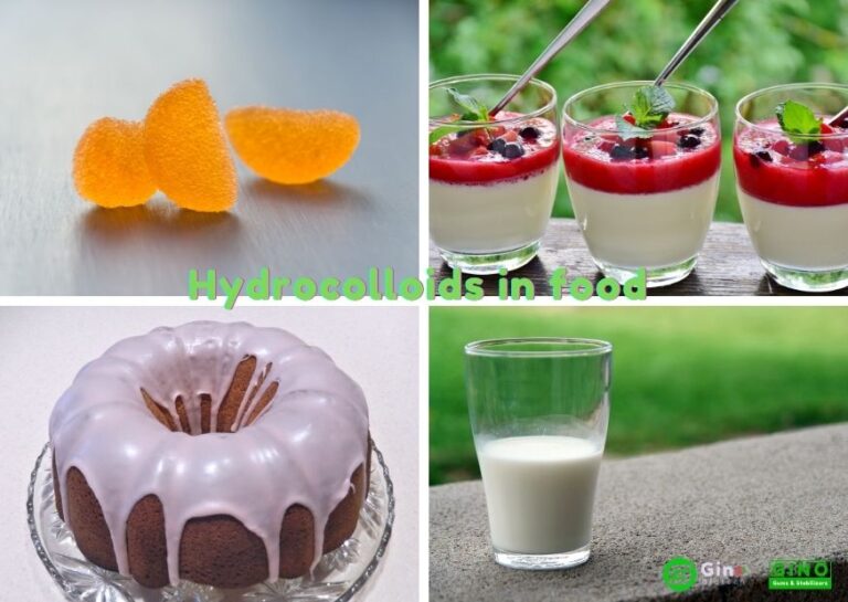 What is the Role of Hydrocolloids in Food?