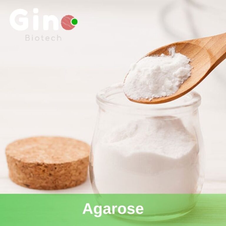 agarose powder | Low EEO agarose supplier Gino Biotech (3)