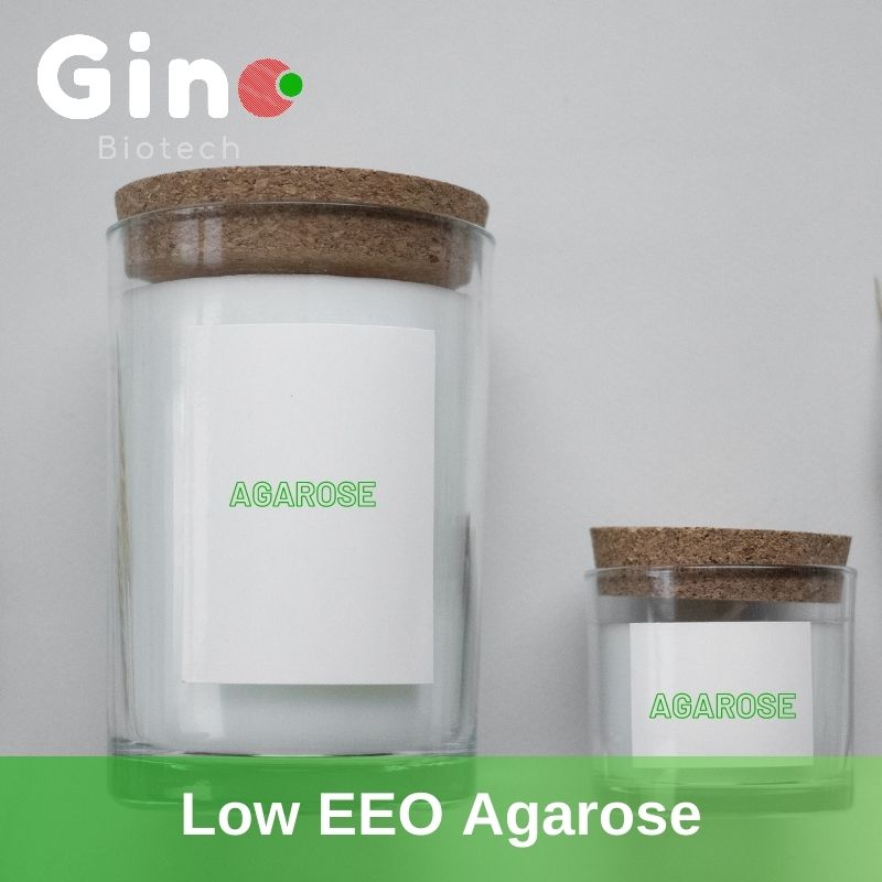 low eeo agarose powder supplier_Gino Biotech (5)