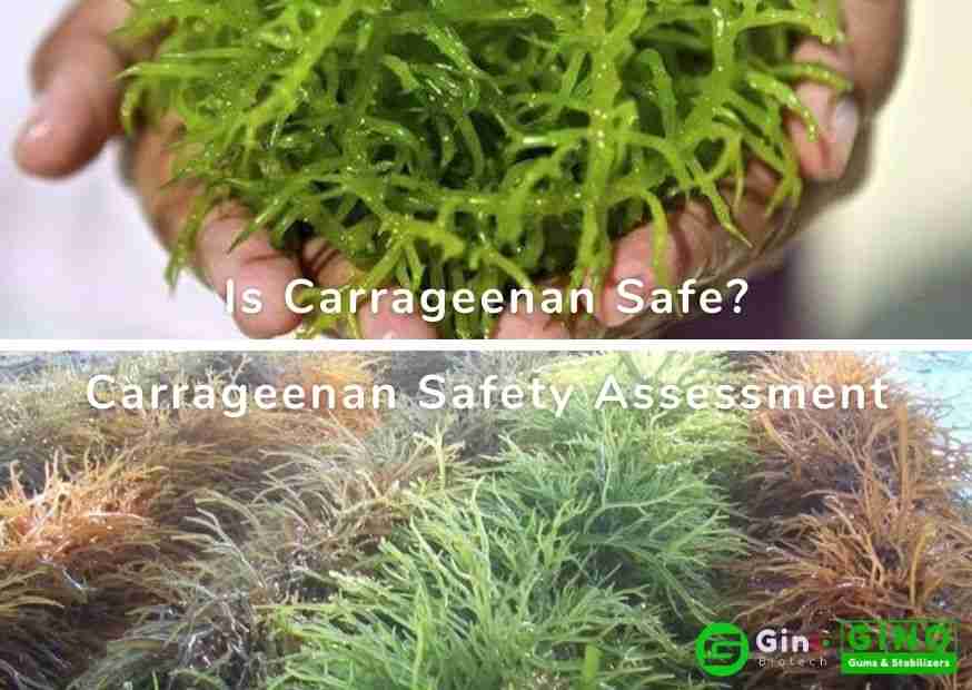 is carrageenan safe carrageenan safety assessment (3)(1)