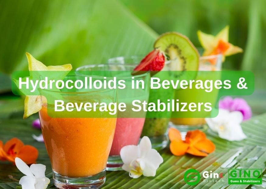 Hydrocolloids in Beverages & Beverage Stabilizers_Gino Gums & Stabilizers (2)