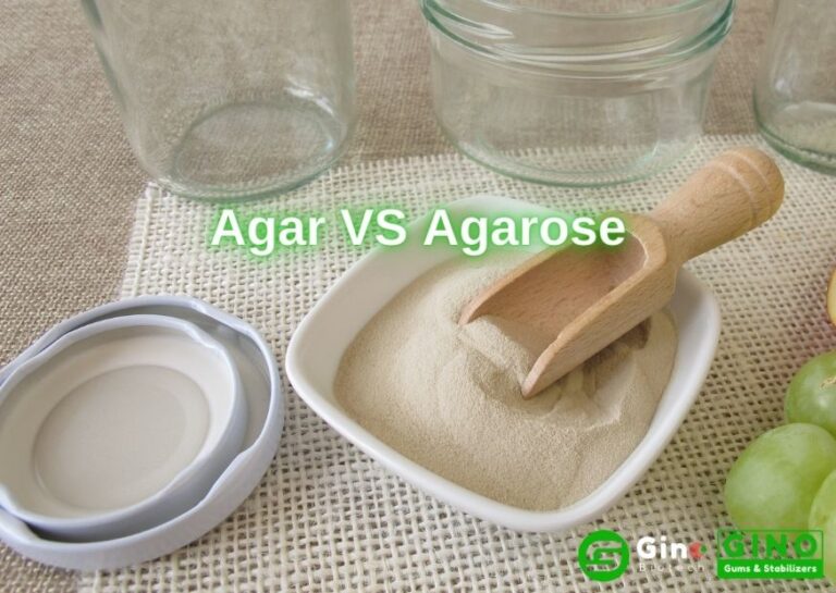 E406 Agar vs Agarose Big Difference between Agar and Agarose