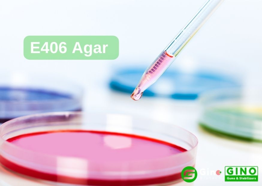 E406 Agar vs Agarose  Big Difference between Agar and Agarose