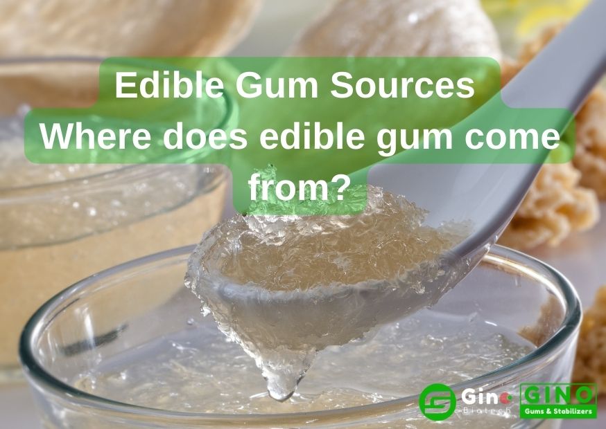 Edible Gum Sources Where does edible gum come from (2)