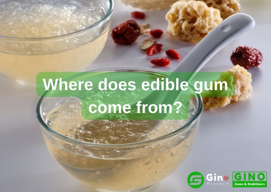Edible Gum Sources Where does edible gum come from (3)