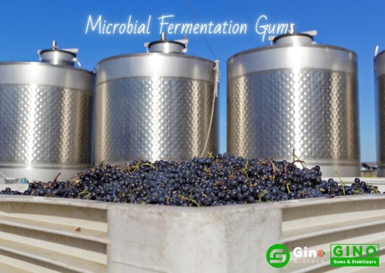 Edible Gums Sources Where does edible gum come from?