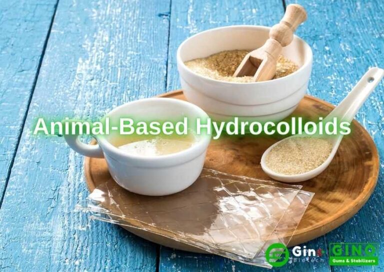 Edible Gums Sources Where does edible gum come from?