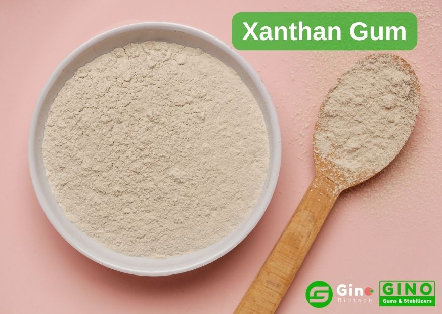 Xanthan Gum_Sources and Roles of 6 Common Food Hydrocolloids
