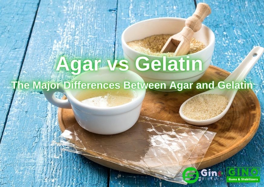 Agar vs Gelatin The Major Differences Between Agar and Gelatin (2)