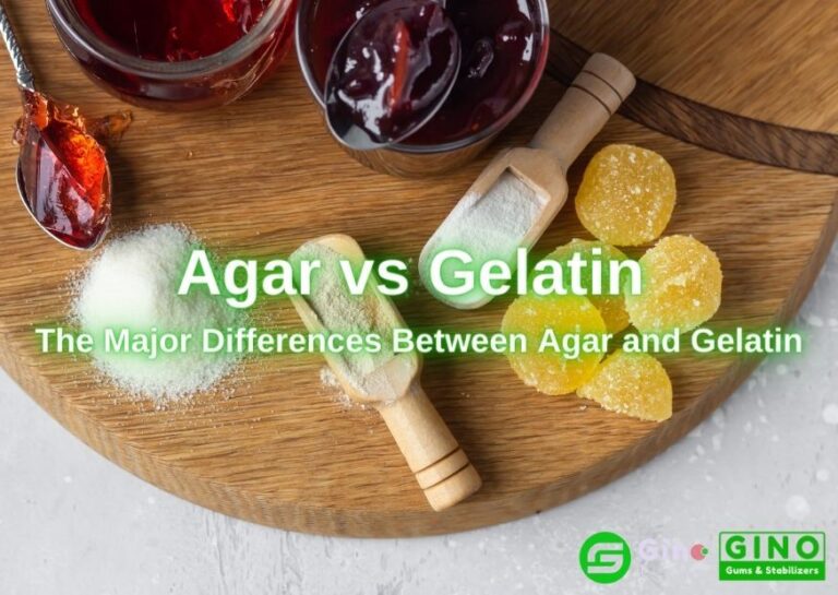 Agar vs Gelatin The Big Differences Between Agar and Gelatin