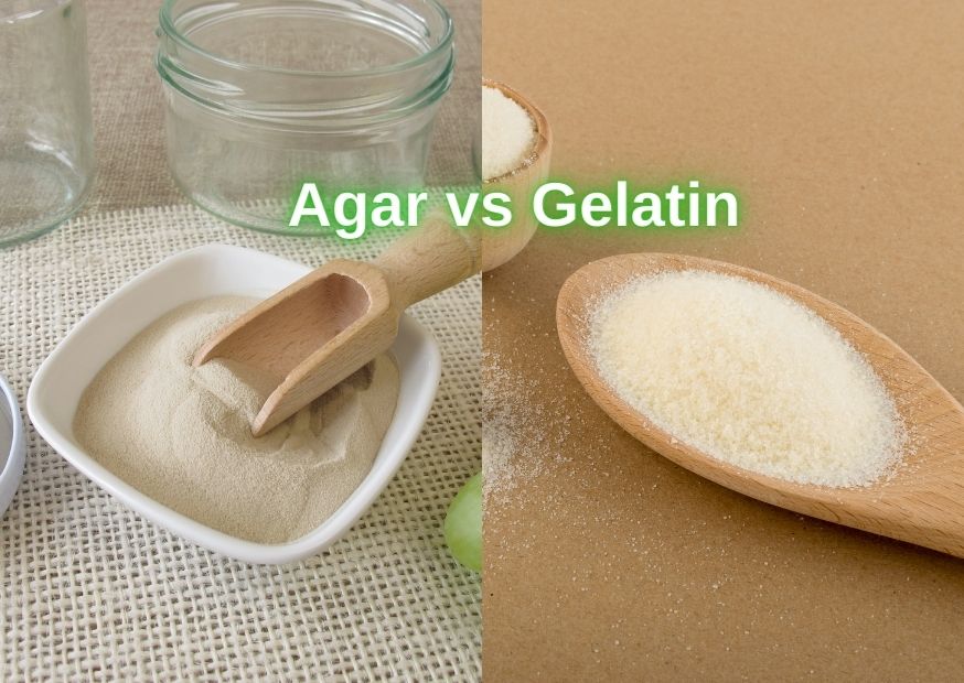 Agar vs Gelatin