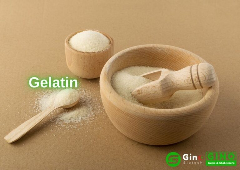 Agar vs Gelatin The Big Differences Between Agar and Gelatin