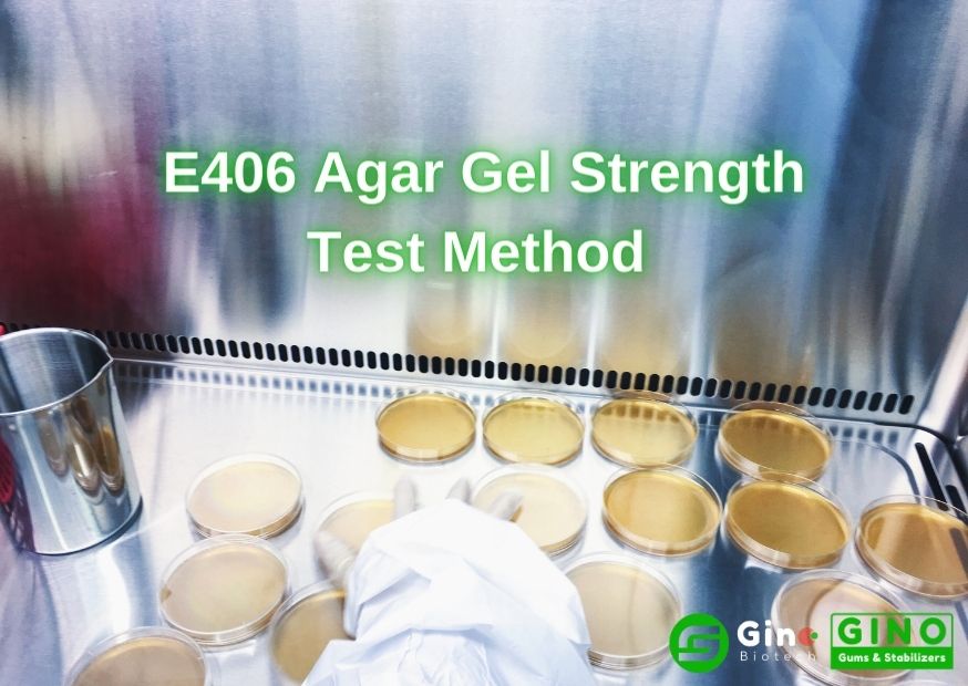 E406 Agar Gel Strength Test Method