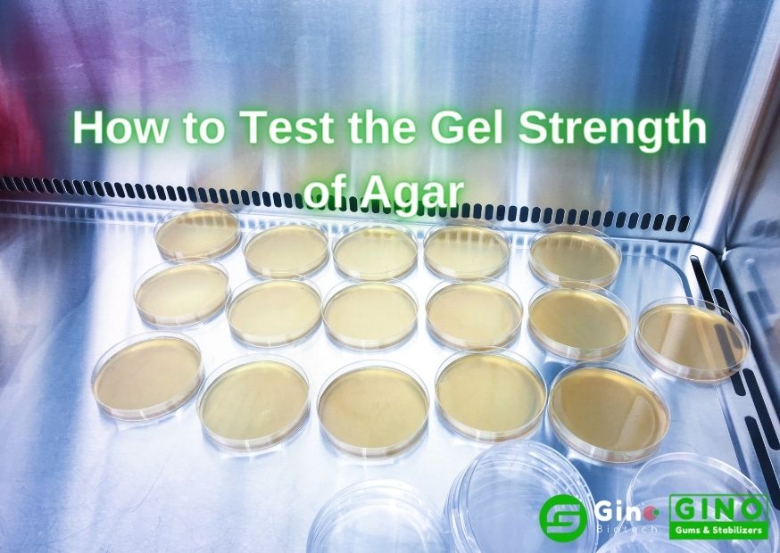 How to Test the Gel Strength of Agar