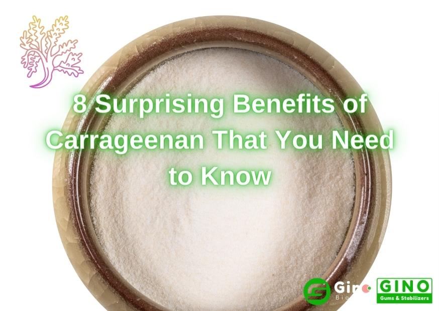 8 Surprising Benefits of Carrageenan That You Need to Know (2)