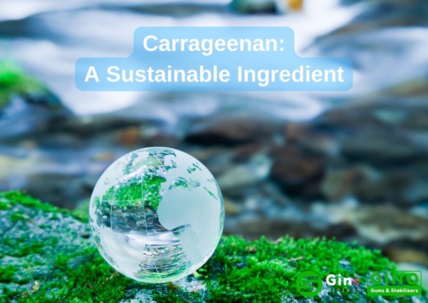 Carrageenan_ A Sustainable Ingredient