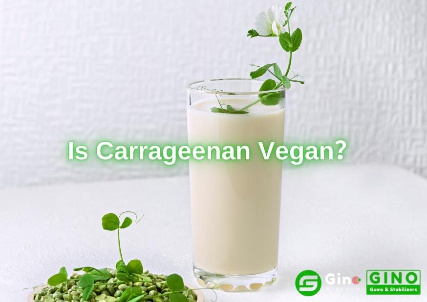 Is Carrageenan Vegan (2)