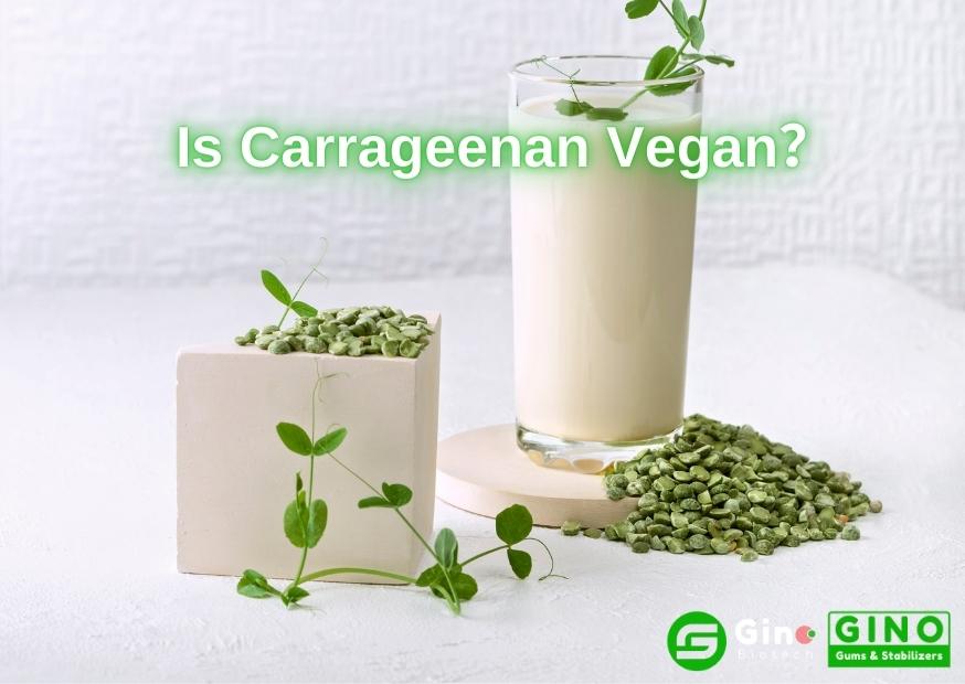 Is Carrageenan Vegan