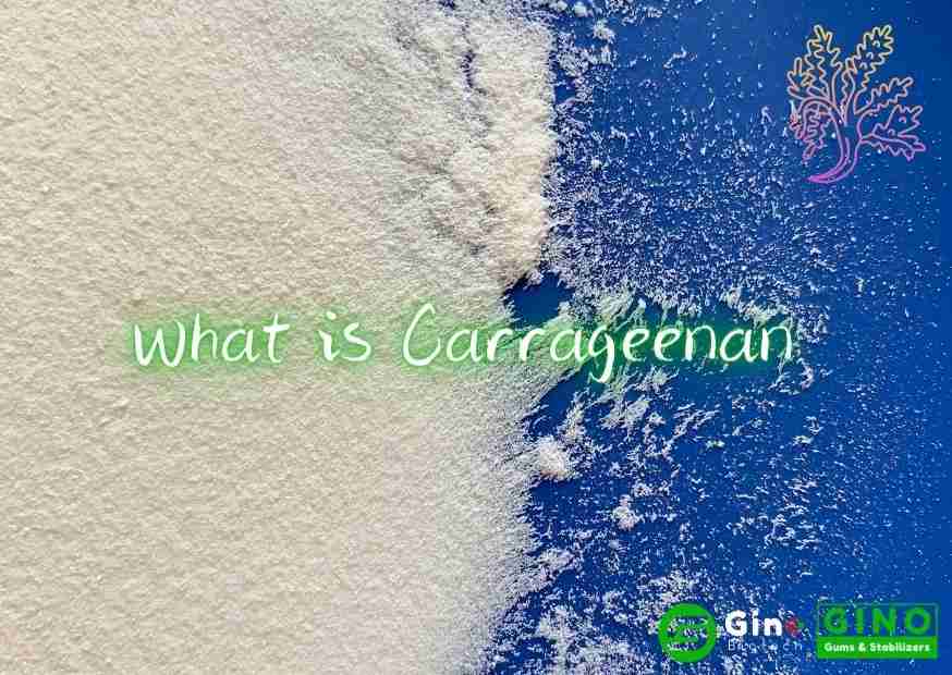 What is Carrageenan(1)