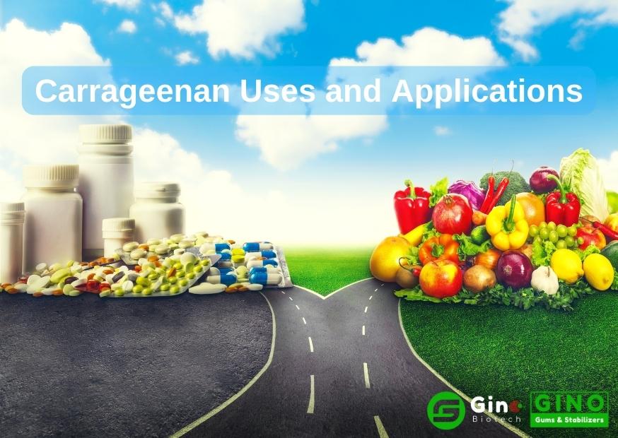 Carrageenan Uses and Applications