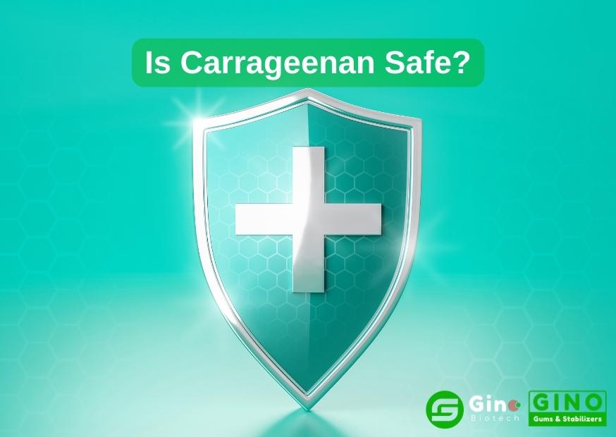 Is Carrageenan Safe