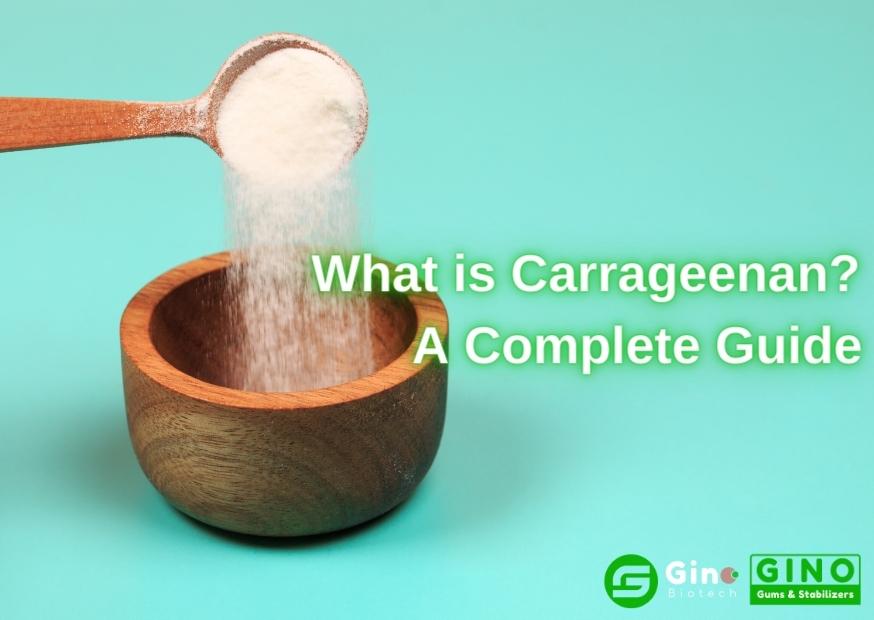 Is Carrageenan in Skin Care Safe?