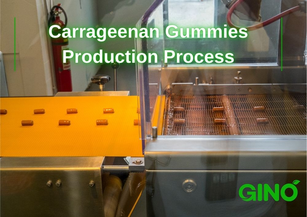 Carrageenan Gummies Production Process