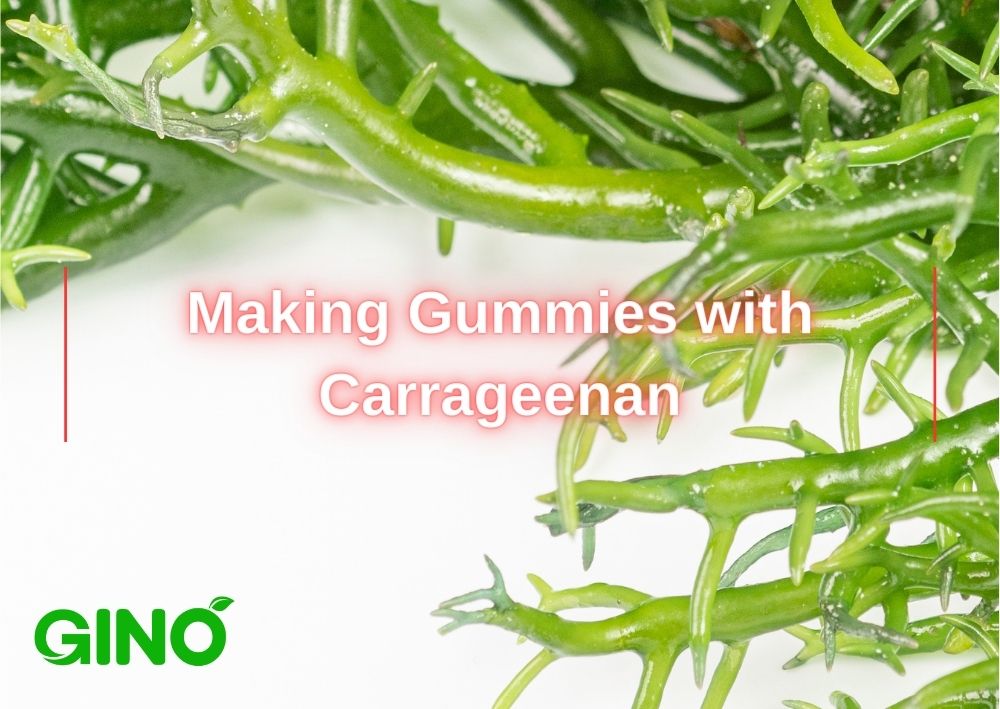Making Gummies with Carrageenan