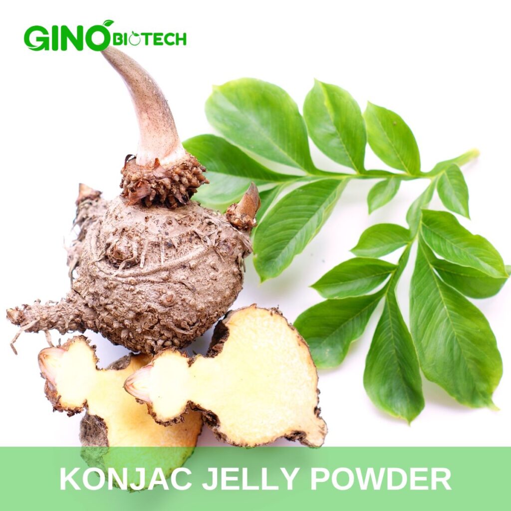 Konjac Jelly Powder - Gino Biotech (3)