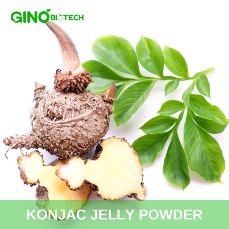 Konjac Jelly Powder A Fascinating Ingredient